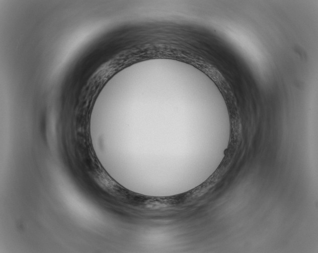 X0000112160526200908070941
