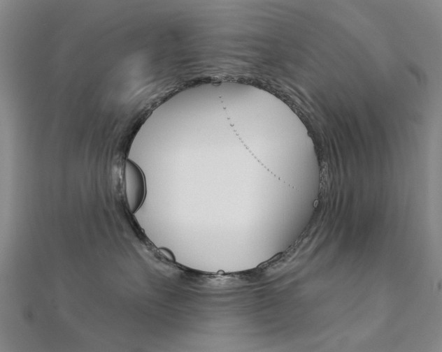 X0000112160527200908070941