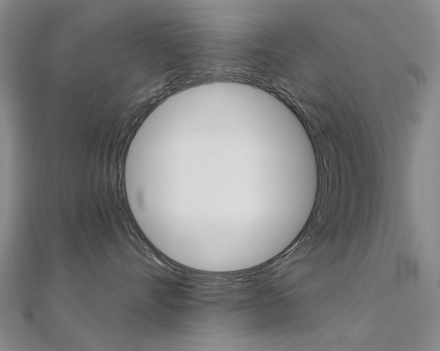 X0000112160528200908070941