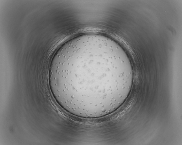 X0000112160529200908070940