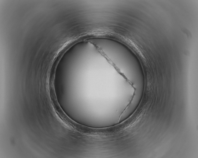 X0000112160530200908070940