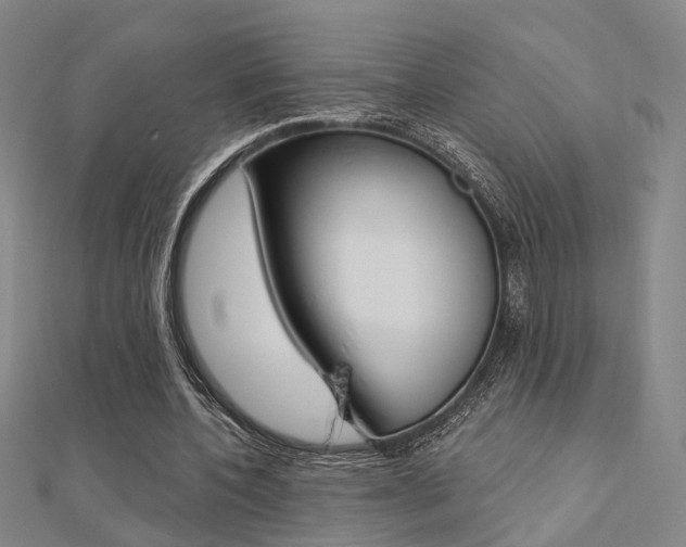 X0000112160532200908070940
