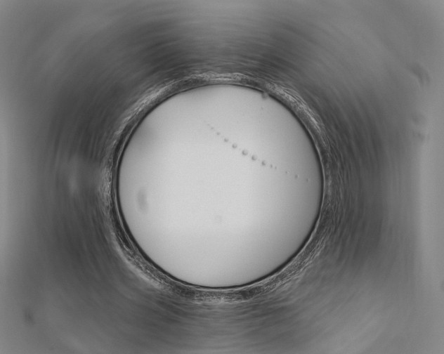 X0000112160533200908070940