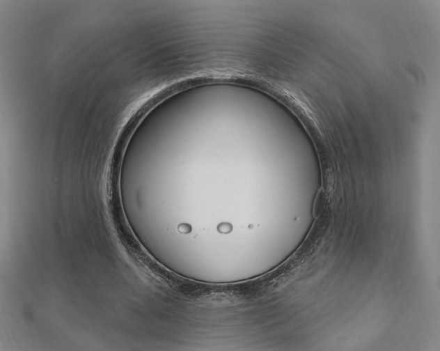 X0000112160536200908070940