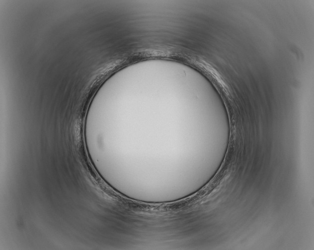 X0000112160537200908070940
