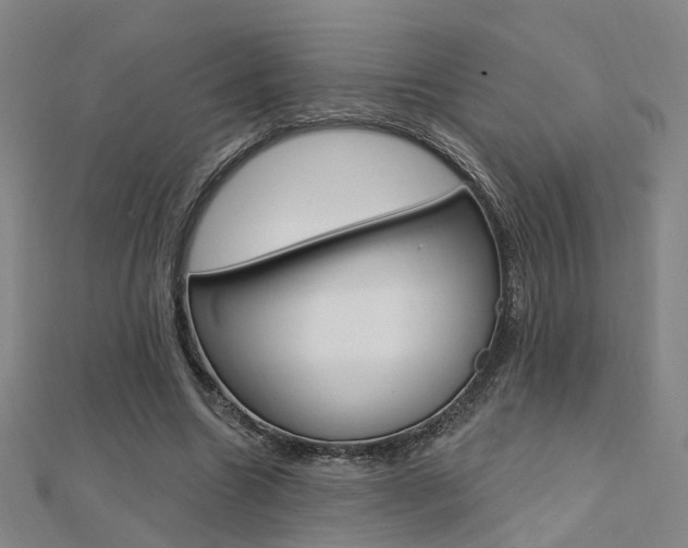 X0000112160538200908070940