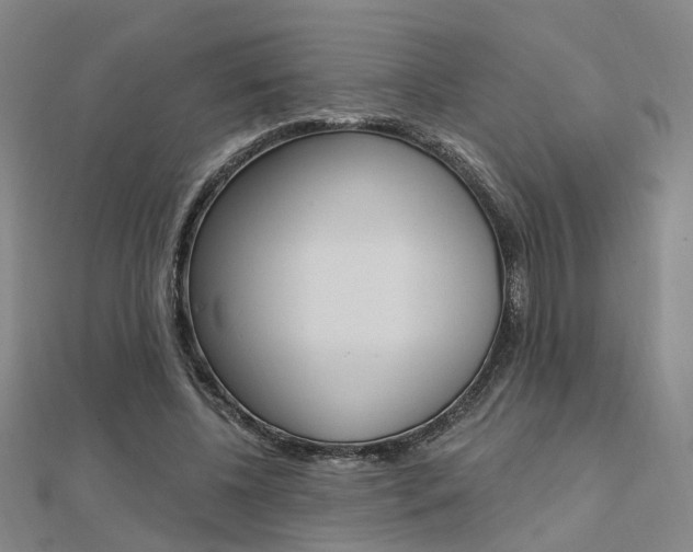 X0000112160540200908070940
