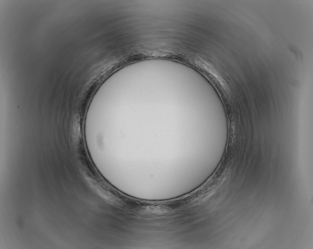 X0000112160541200908070940