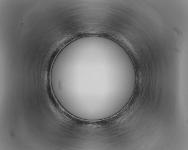 X0000112160542200908070940