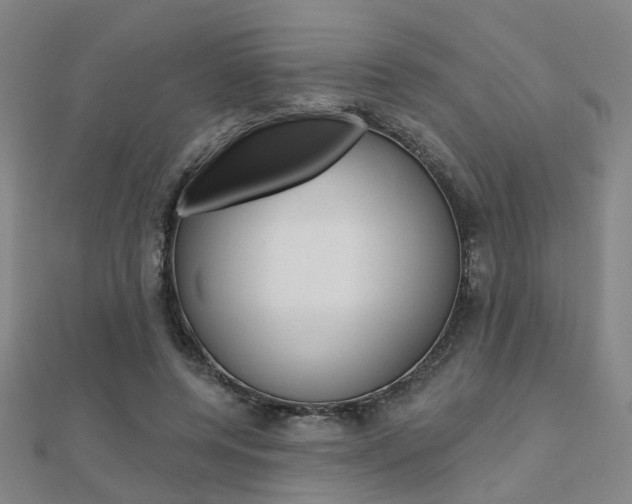 X0000112160544200908070940