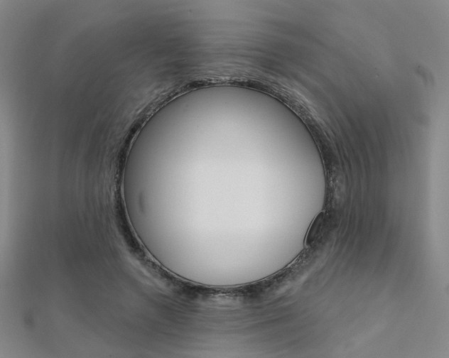 X0000112160546200908070940