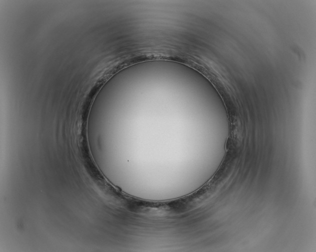 X0000112160548200908070940