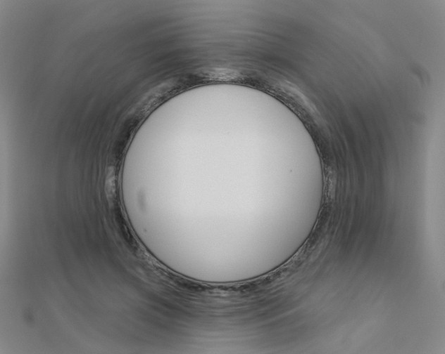 X0000112160549200908070940