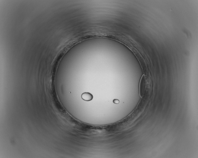 X0000112160552200908070940
