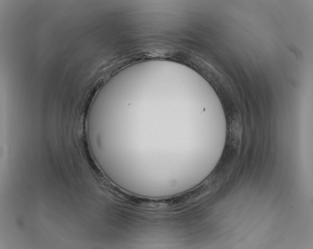 X0000112160554200908070941