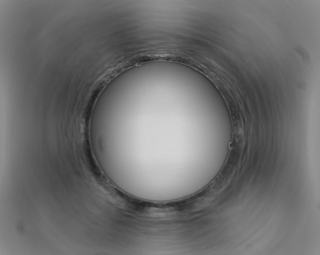 X0000112160556200908070941