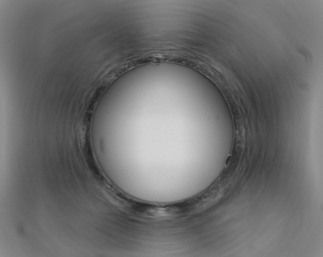 X0000112160558200908070941