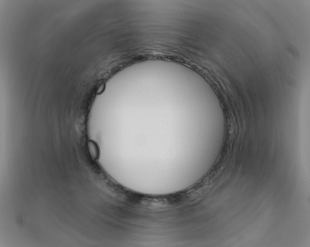 X0000112160559200908070941
