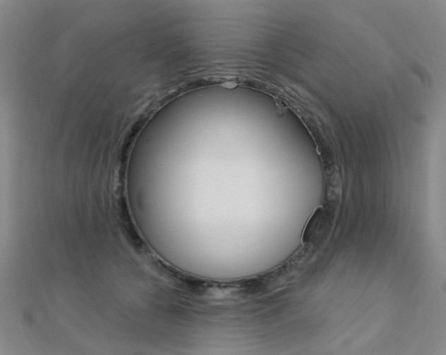 X0000112160560200908070941