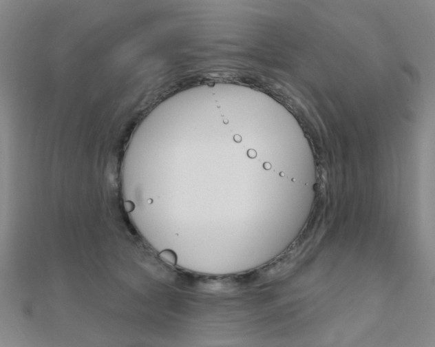 X0000112160561200908070941