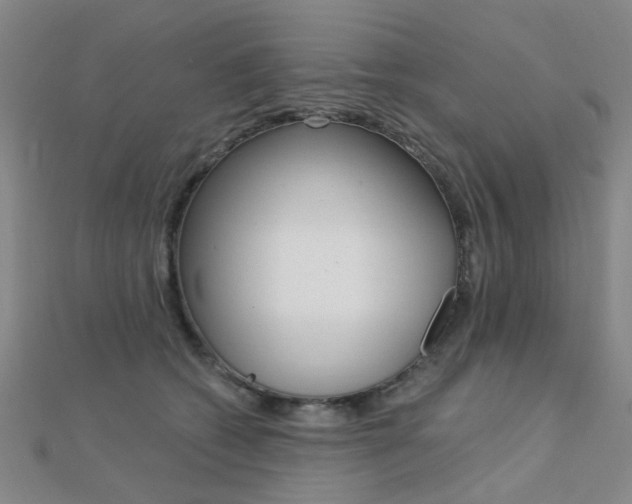 X0000112160562200908070941