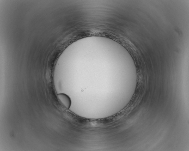 X0000112160565200908070941