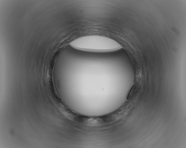 X0000112160566200908070941