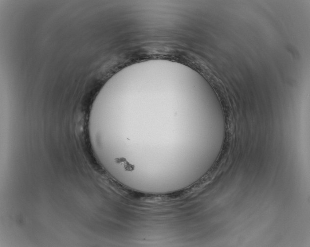 X0000112160567200908070941