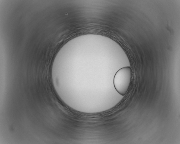 X0000112160568200908070941