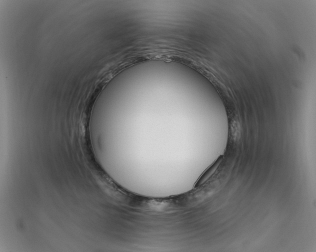 X0000112160570200908070941