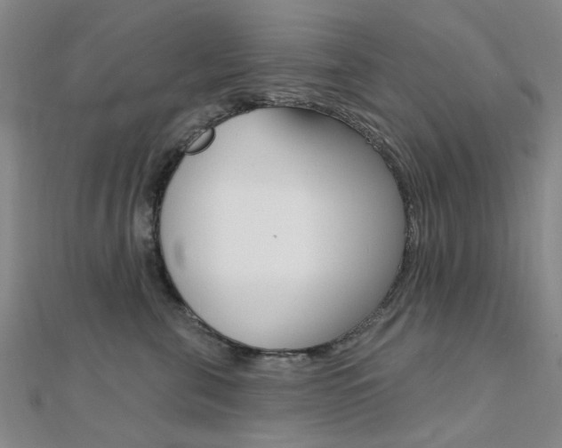 X0000112160571200908070941