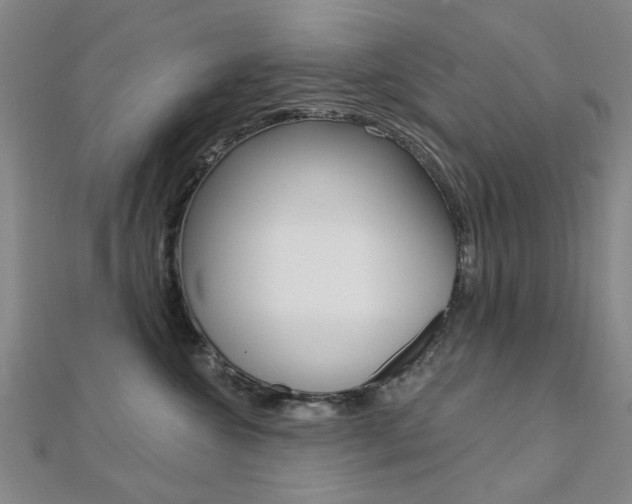 X0000112160572200908070941