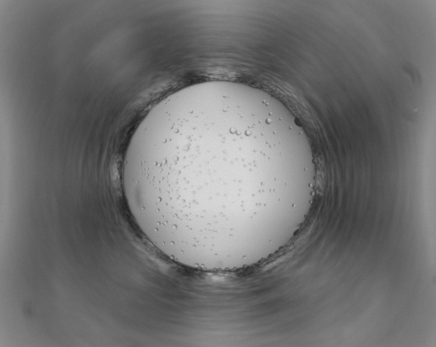 X0000112160573200908070941