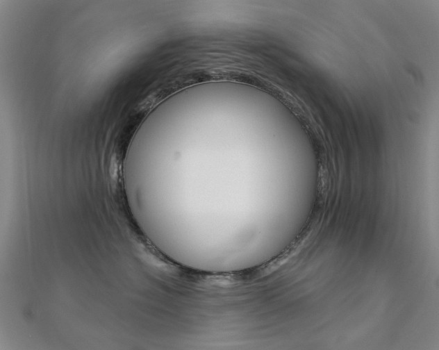 X0000112160574200908070941