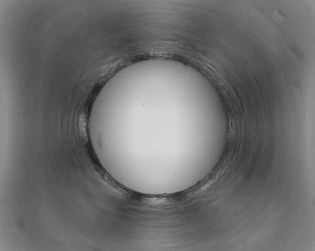 X0000112160575200908070941