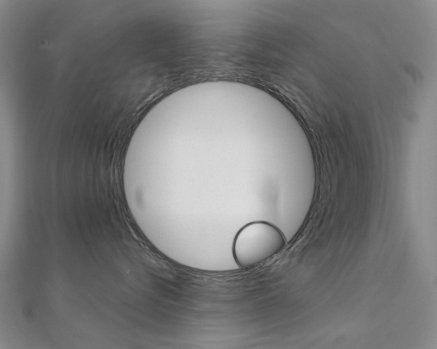 X0000112160576200908070941