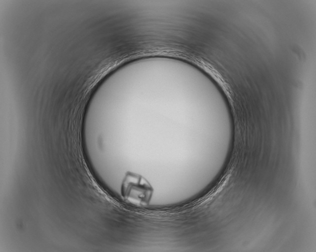 X0000112160577200908070940