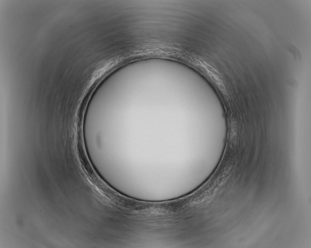 X0000112160578200908070940