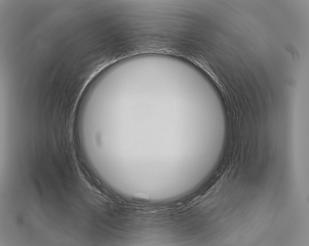 X0000112160579200908070940