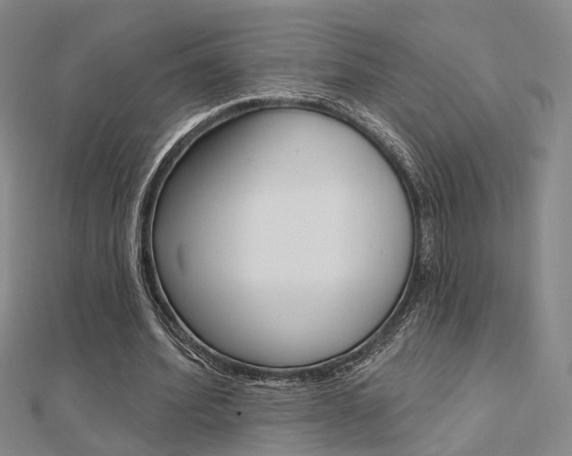 X0000112160580200908070940