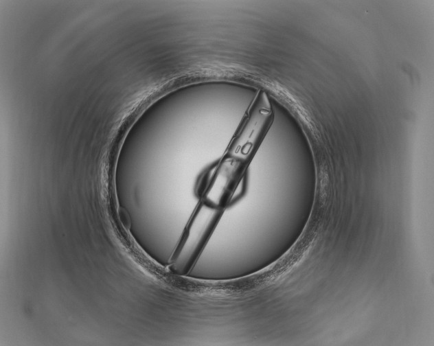 X0000112160581200908070940