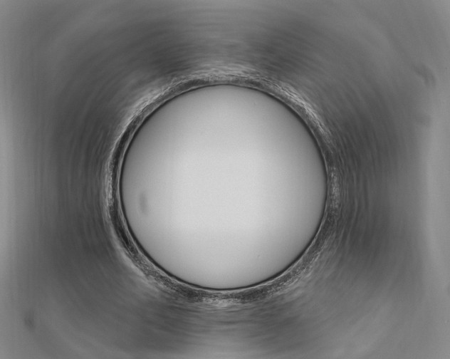 X0000112160582200908070940