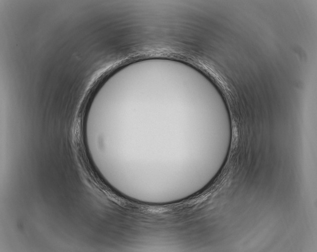 X0000112160583200908070940