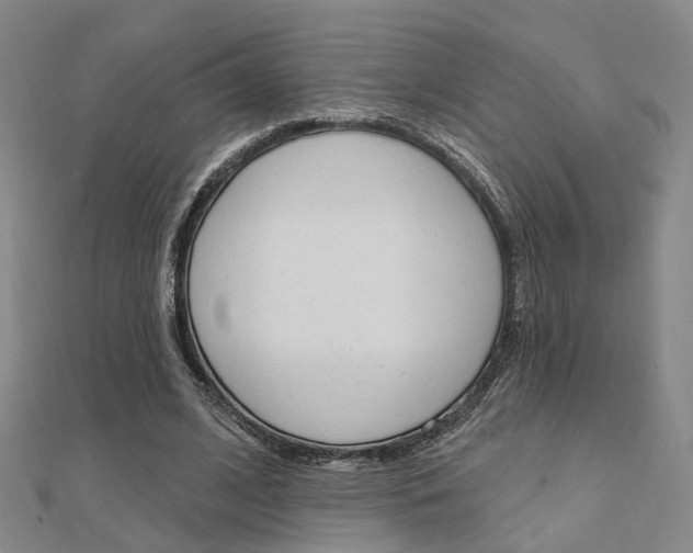 X0000112160584200908070940