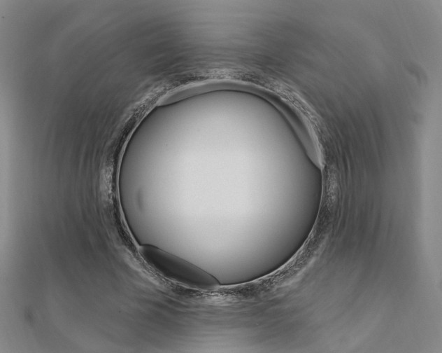 X0000112160585200908070940