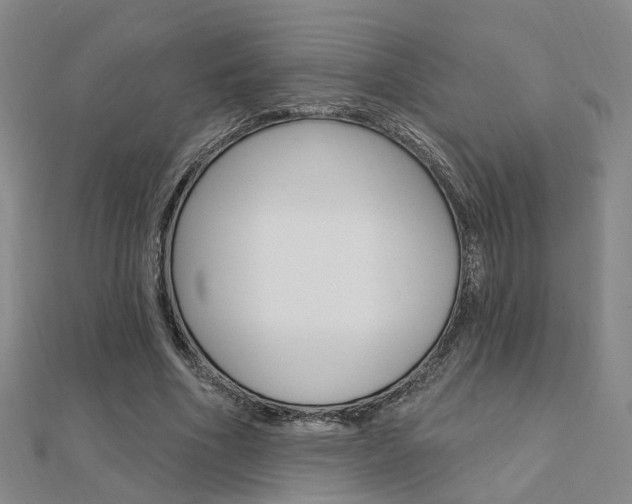 X0000112160586200908070940