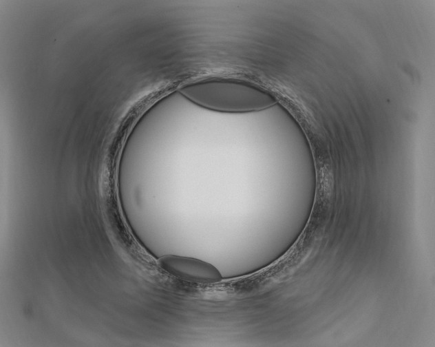 X0000112160587200908070940