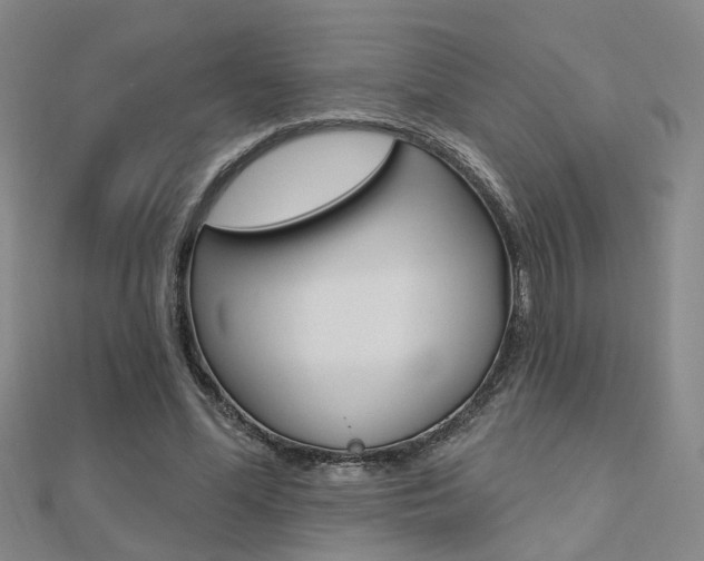 X0000112160588200908070940