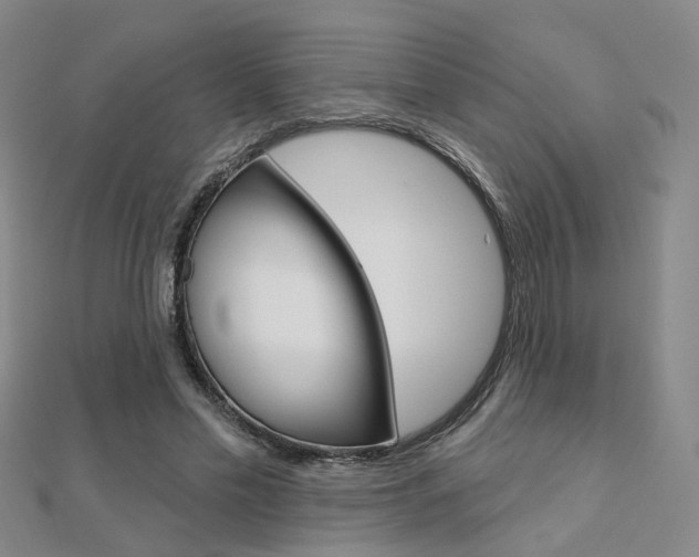 X0000112160589200908070940