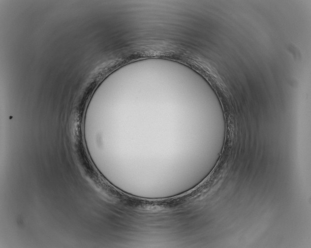 X0000112160590200908070940